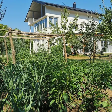 公寓 Apartman Semizovac - Apartment 4P - Memorable Stay *